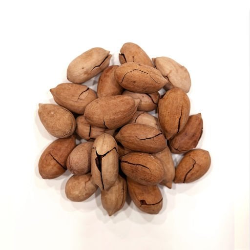 Pikan Cevizi Kabuklu